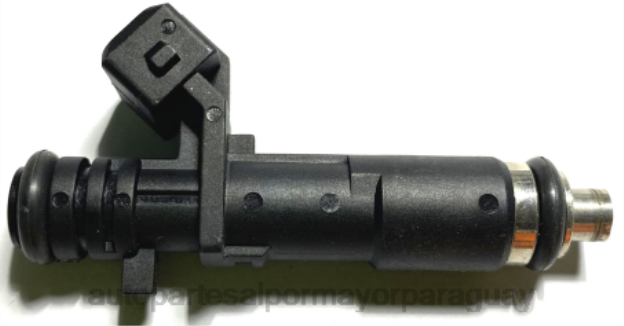 inyector de combustible 25186566 Venta De Autopartes Paraguay - 4BJ82076 CHEVROLET