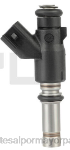 inyector de combustible 25380933 55559377 Autopartes Asunción Paraguay - 4BJ81997 CHEVROLET