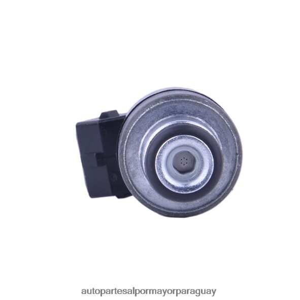 Autopartes Paraguay VL4F64685 | 17089276 inyector de combustible para gm