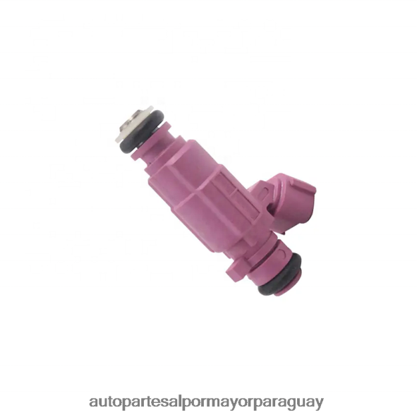 Autopartes Asunción Paraguay VL4F64697 | 35310-04090 inyector de combustible para hyundai/kia