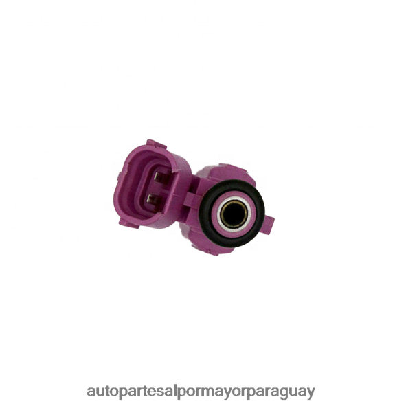 Autopartes Asunción Paraguay VL4F64697 | 35310-04090 inyector de combustible para hyundai/kia