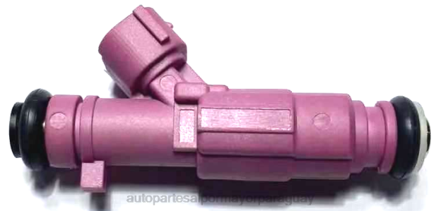 inyector de combustible 35310-3f010 Autopartes Asunción Paraguay - 4BJ81947 HYUNDAI