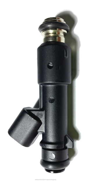inyector de combustible 12582219 Autopartes Asunción Paraguay - 4BJ82047