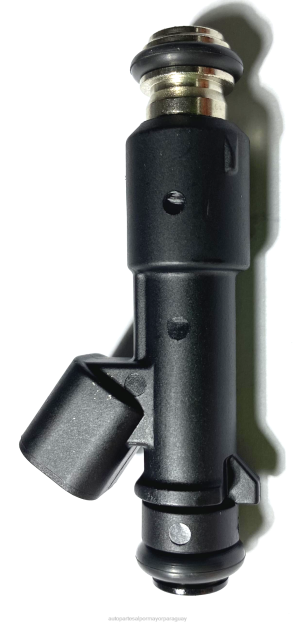 inyector de combustible 96493843 1571085z10 Autopartes Paraguay - 4BJ82005