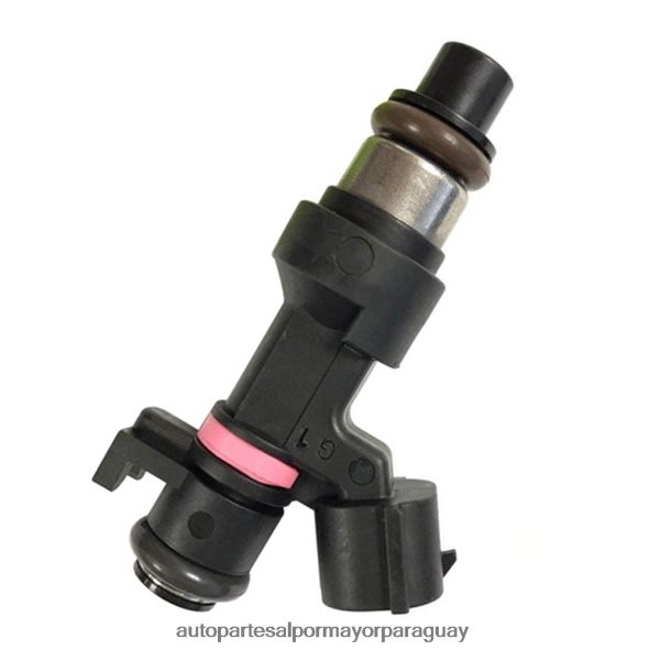 Autopartes Asunción Paraguay VL4F64707 | Inyector de combustible 166006863r para renault