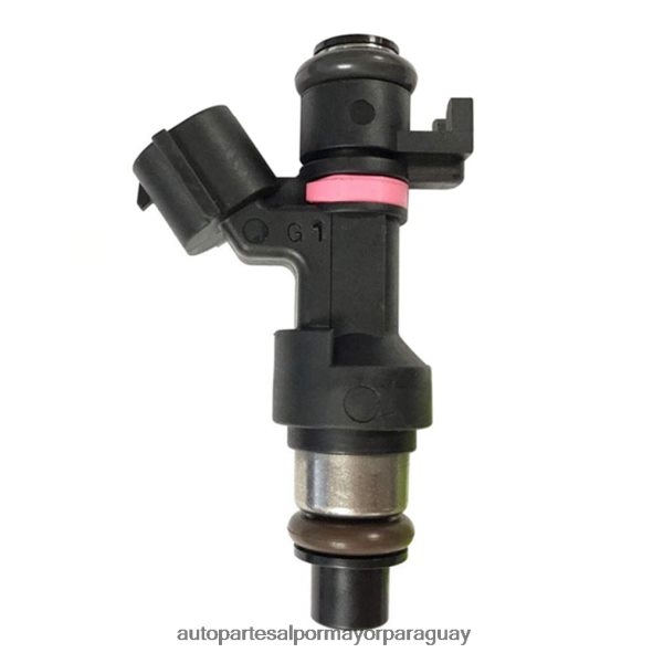 Autopartes Asunción Paraguay VL4F64707 | Inyector de combustible 166006863r para renault
