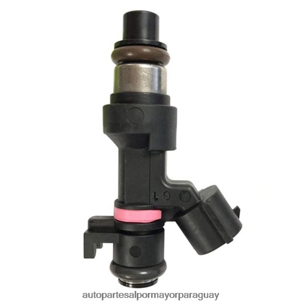 Autopartes Asunción Paraguay VL4F64707 | Inyector de combustible 166006863r para renault