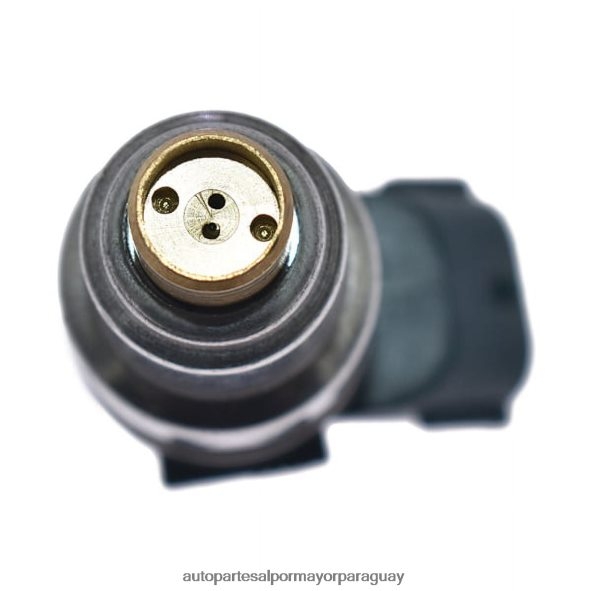 Autopartes Asunción Paraguay VL4F64297 | 23209-79085 23250-75040 inyector de combustible fj376 TOYOTA