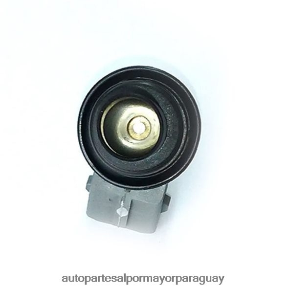 Autopartes Paraguay VL4F64385 | inyector de combustible wp176 VW SKODA