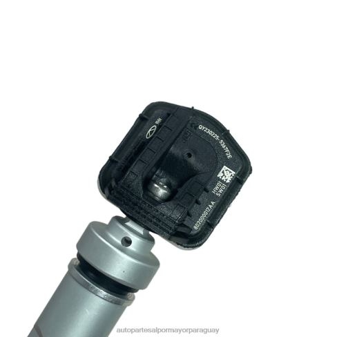 Repuestos Auto Paraguay J84042579 - Sensor de presión de neumáticos tpms chery 802000012aa