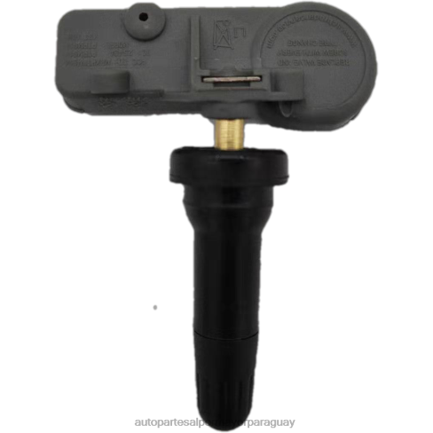 Repuestos Auto Paraguay J84042609 - Sensor de presión de neumáticos tpms zhongtai 3617020001b12